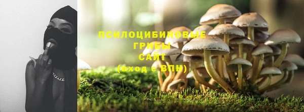 соль курить ск Алексеевка