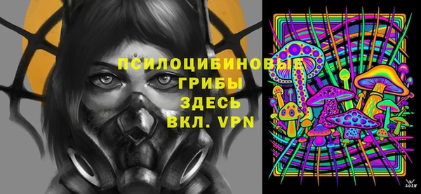 герыч Алексин